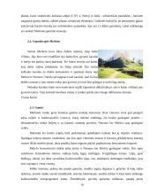 Dviejų dienų turas po Druskininkų ir Merkinės kraštą 10 puslapis