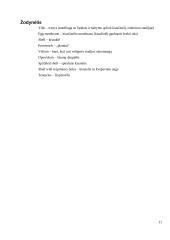 Dvigeldžių moliuskų lytinė sistema ir vystymasis 11 puslapis