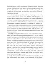 Dzūkijos regiono ypatumai 14 puslapis