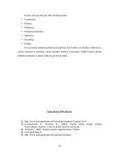 Dzūkijos regiono ypatumai 20 puslapis