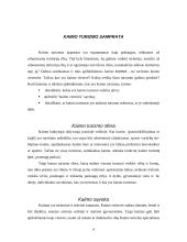 Dzūkijos regiono ypatumai 4 puslapis