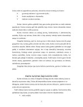 Dzūkijos regiono ypatumai 5 puslapis