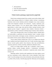 Dzūkijos regiono ypatumai 6 puslapis