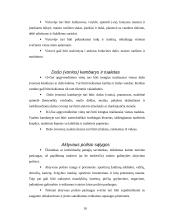 Dzūkijos regiono ypatumai 10 puslapis