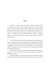 E-komercija Lietuvoje 2 puslapis