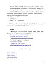 E-komercija Lietuvoje 13 puslapis