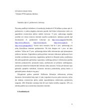 E-komercija Lietuvoje 6 puslapis