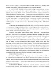 E-verslo infrastruktūros modelių analizė 11 puslapis