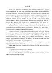 E-verslo infrastruktūros modelių analizė 3 puslapis