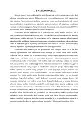 E-verslo infrastruktūros modelių analizė 4 puslapis