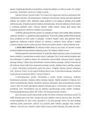 E-verslo infrastruktūros modelių analizė 8 puslapis