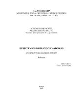 Efektyvios komandos vadovas