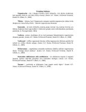 Efektyvios komandos vadovas 2 puslapis