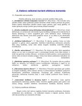 Efektyvios komandos vadovas 8 puslapis