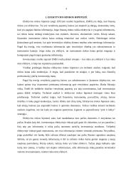 Efektyvios rinkos hipotezė 4 puslapis