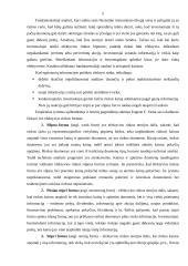 Efektyvios rinkos hipotezė 5 puslapis