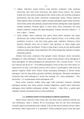 Efektyvios rinkos hipotezė 8 puslapis