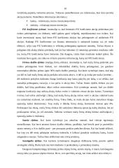 Efektyvios rinkos hipotezė 10 puslapis