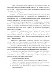 Efektyvios švietimo organizacijos vadovas 11 puslapis