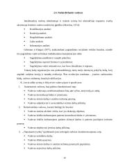 Efektyvios švietimo organizacijos vadovas 10 puslapis