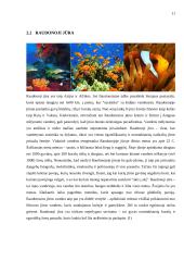 Bendra informacija apie Egiptą 11 puslapis