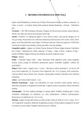 Bendra informacija apie Egiptą 3 puslapis