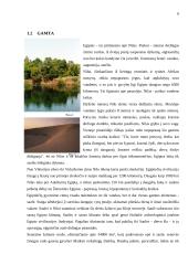 Bendra informacija apie Egiptą 6 puslapis