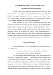 Eismo intensyvumas Lietuvos keliuose 3 puslapis