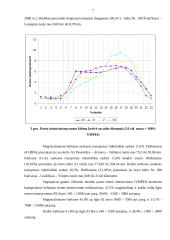 Eismo intensyvumas Lietuvos keliuose 7 puslapis