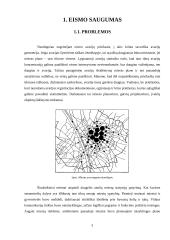 Eismo saugumo ir aplinkos problemos 3 puslapis