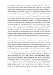 Eismo saugumo ir aplinkos problemos 4 puslapis