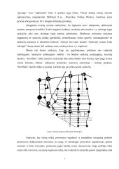 Eismo saugumo ir aplinkos problemos 5 puslapis
