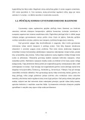 Eismo saugumo ir aplinkos problemos 6 puslapis