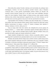 Ekologija ir etika 13 puslapis