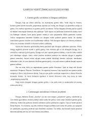 Ekologinės etikos svarba gamtosaugoje 2 puslapis