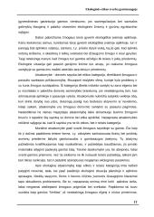 Ekologinės etikos reikšmė gamtosaugoje 11 puslapis