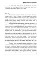 Ekologinės etikos reikšmė gamtosaugoje 4 puslapis