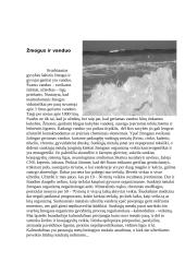 Ekologinės problemos. Vandens užterštumas 2 puslapis