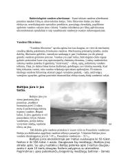 Ekologinės problemos. Vandens užterštumas 4 puslapis