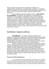 Ekologinės problemos. Vandens užterštumas 5 puslapis