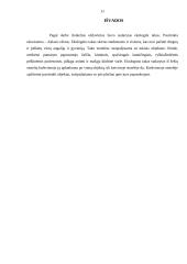 Ekologinis takas Aklojo ežero ekosistemoje 11 puslapis