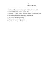 Ekologinis takas Aklojo ežero ekosistemoje 12 puslapis