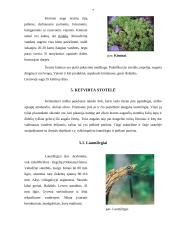 Ekologinis takas Aklojo ežero ekosistemoje 7 puslapis