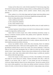 Ekonomikos augimas 13 puslapis