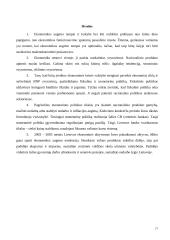 Ekonomikos augimas 20 puslapis