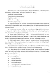 Ekonomikos augimas 4 puslapis