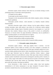 Ekonomikos augimas 5 puslapis