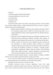 Ekonomikos augimas 7 puslapis