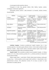 Ekonominis augimas, jo stadijos, veiksniai bei padariniai 5 puslapis