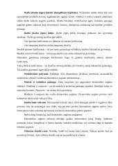 Ekonominis augimas, jo stadijos, veiksniai bei padariniai 6 puslapis